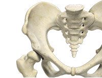 Developmental Dysplasia